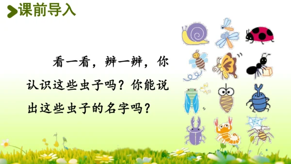 11.我是一只小虫子 课件