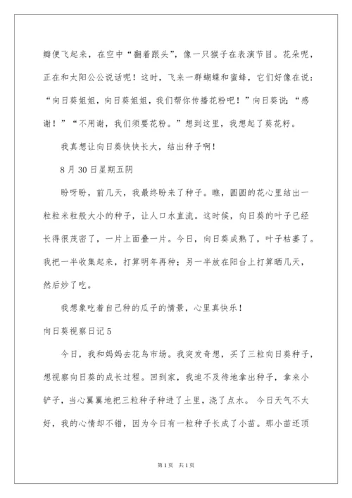 2022向日葵观察日记.docx