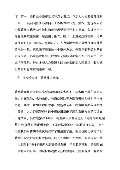 活动专项方案之薪酬审计工作专项方案.docx