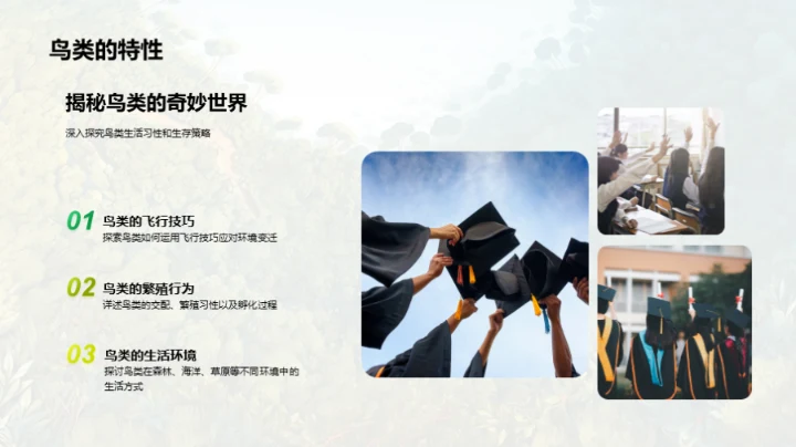 动物世界的奥秘