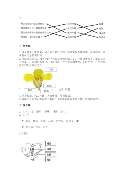 教科版四年级下册科学第一单元《植物的生长变化》测试卷含答案【精练】.docx