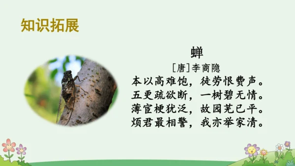 语文园地一【优质版】