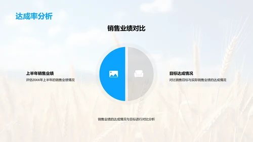 农产销售年中盘点