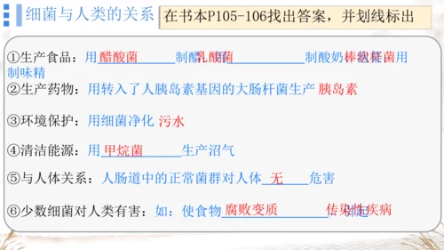 人教版七上2024第二单元复习课件(共20张PPT)