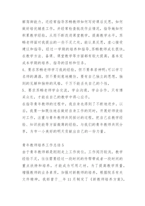 青年教师培养工作总结.docx