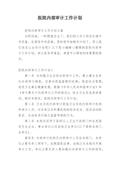 医院内部审计工作计划.docx