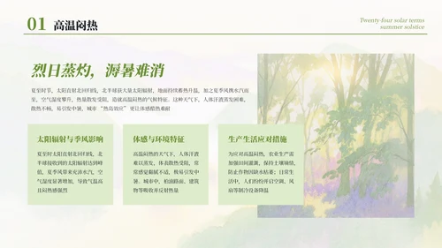 绿色简约清新二十四节气之夏至节气介绍PPT模板