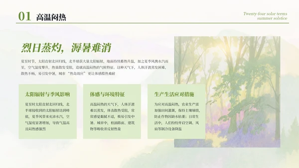 绿色简约清新二十四节气之夏至节气介绍PPT模板
