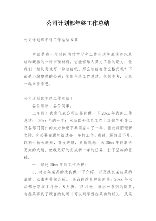 公司计划部年终工作总结_1.docx