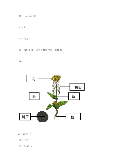 科学四年级下册第一单元《植物的生长变化》测试卷有答案.docx
