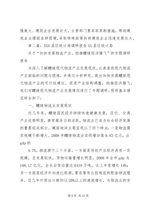 某市统计局调研报告.docx
