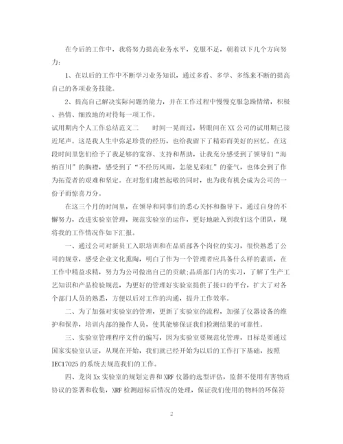 精编之试用期内个人工作总结范文.docx