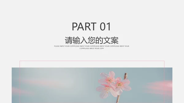 粉色椰风商业计划PPT模板