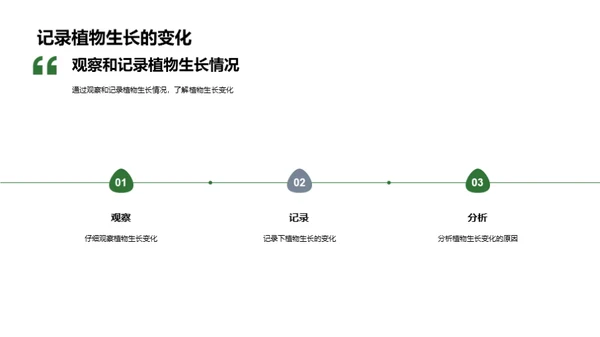 揭秘植物生长奥秘