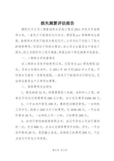 损失测算评估报告.docx