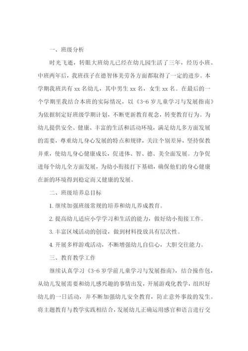 大班上学期教师个人计划怎么写.docx