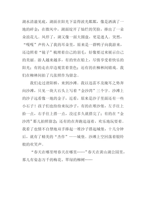 找春天作文800字.docx
