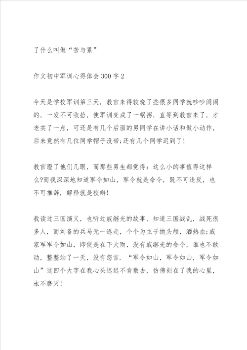 初中作文军训心得体会300字范文十篇