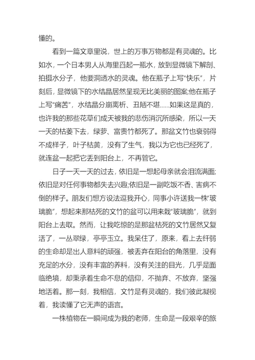 关于学习日记3篇