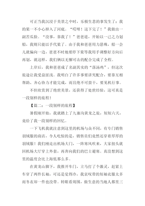 一段别样的旅程作文-1.docx