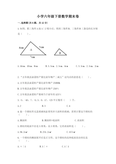小学六年级下册数学期末卷【各地真题】.docx