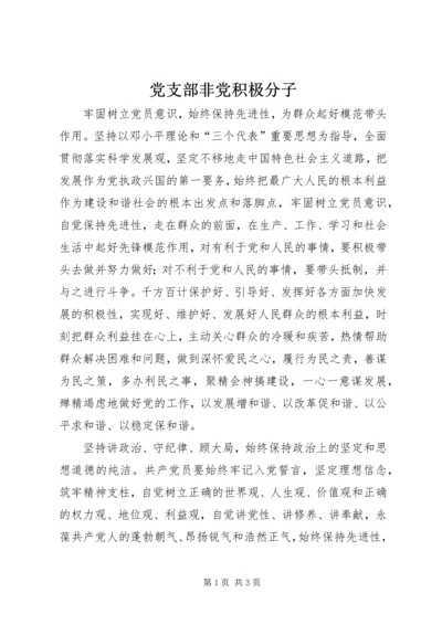 党支部非党积极分子.docx