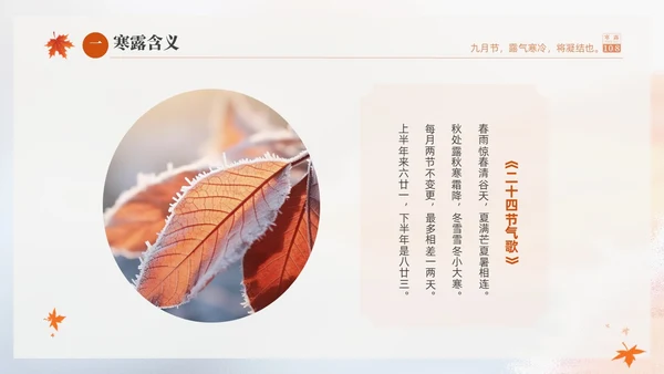 白色淡雅实拍风中国传统节气寒露节气介绍PPT