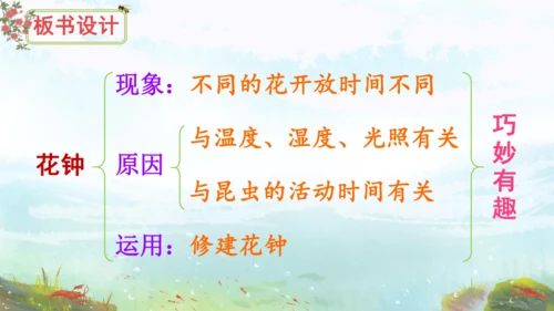 13《花钟》（课件）