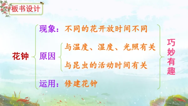 13《花钟》（课件）
