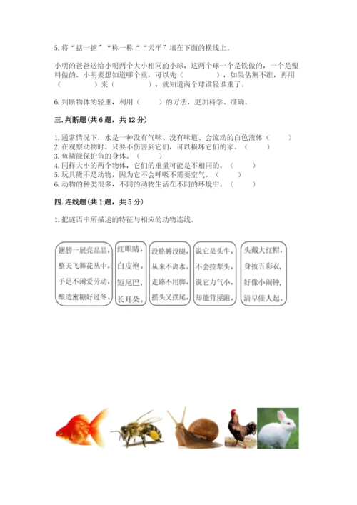 教科版一年级下册科学期末测试卷附参考答案【综合题】.docx