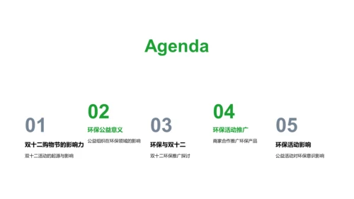 双十二环保引领