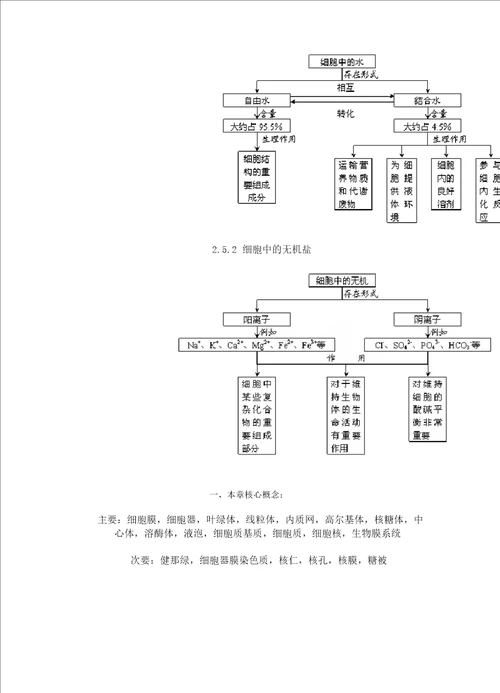 高中生物概念图汇总完整