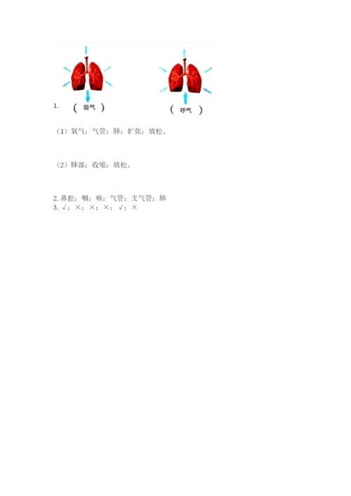 教科版科学四年级上册第二单元《呼吸和消化》测试卷精品（预热题）.docx