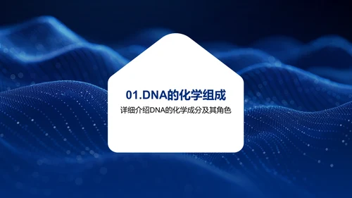 DNA双螺旋结构解析PPT模板