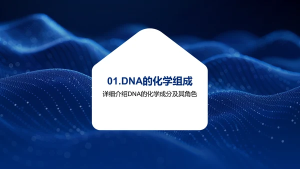 DNA双螺旋结构解析PPT模板