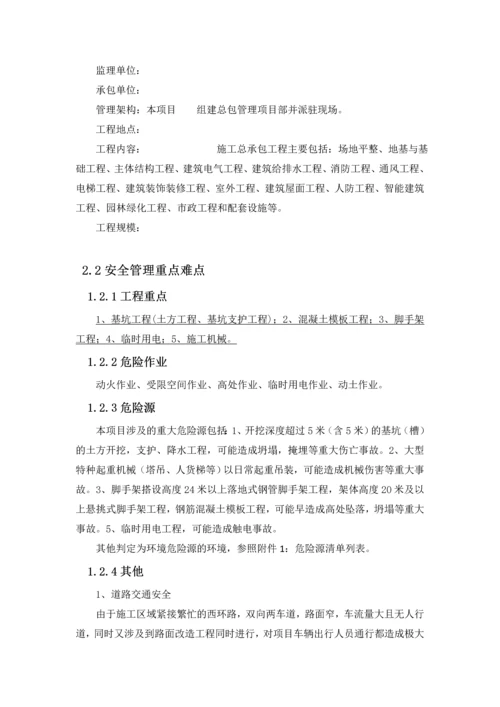 项目安全生产管理策划书.docx