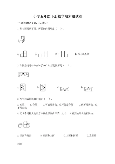 小学五年级下册数学期末测试卷附答案（预热题）