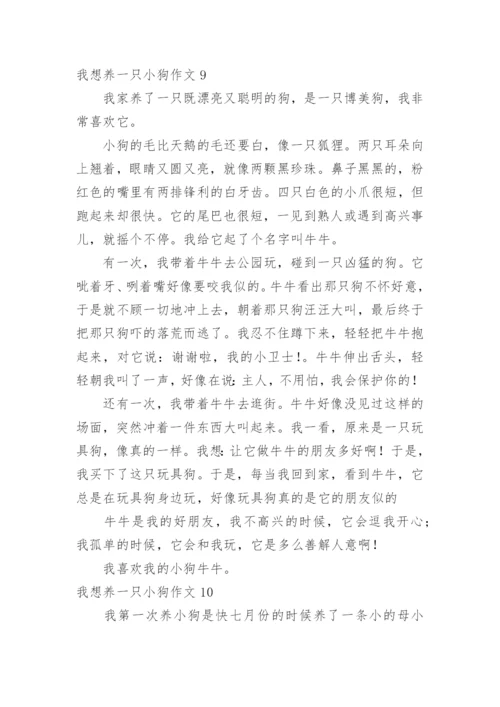 我想养一只小狗作文.docx