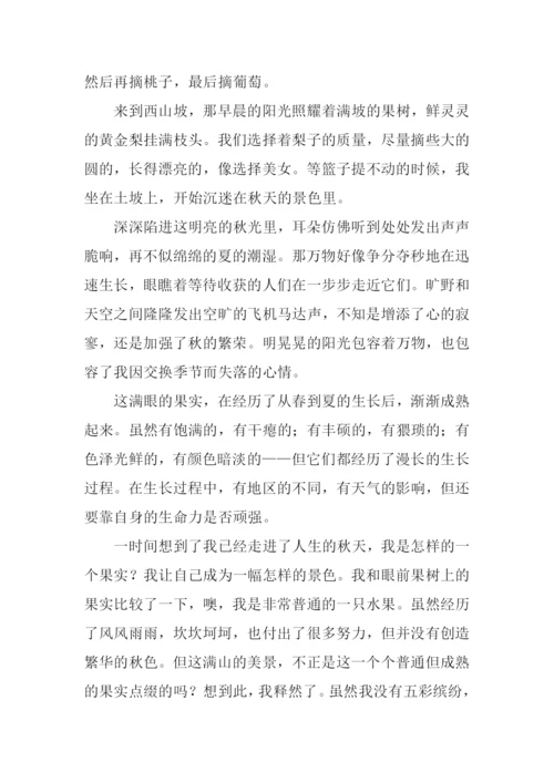 采撷作文00.docx