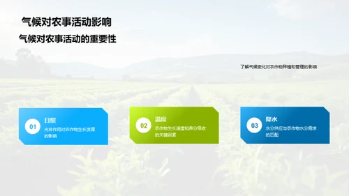 秋分农事精细化管理