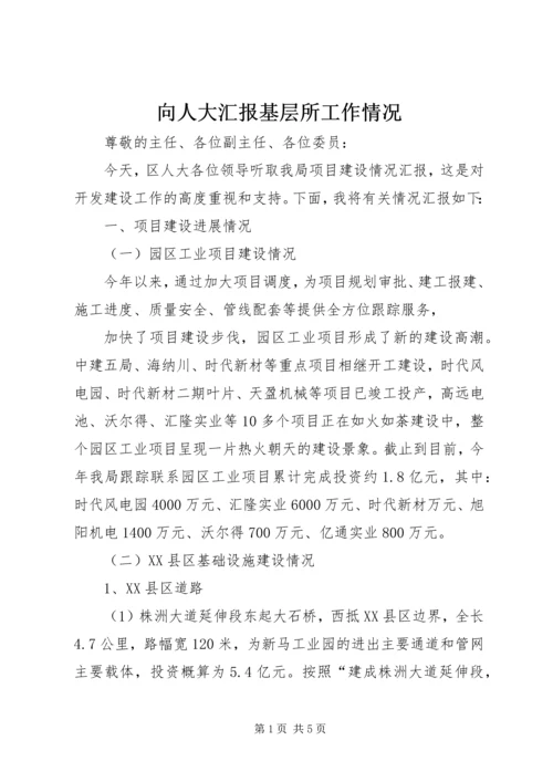 向人大汇报基层所工作情况 (4).docx