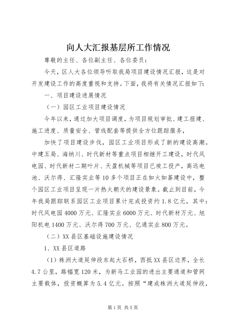 向人大汇报基层所工作情况 (4).docx