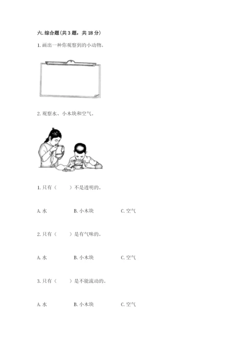 教科版一年级下册科学期末测试卷附答案（考试直接用）.docx