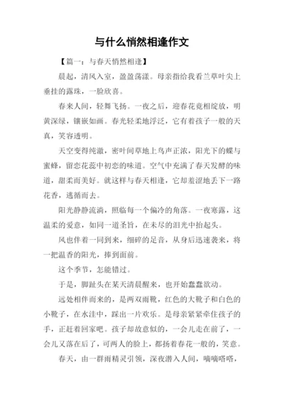 与什么悄然相逢作文.docx