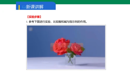 实验活动7 溶液酸碱性的检验 课件
