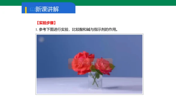 实验活动7 溶液酸碱性的检验 课件