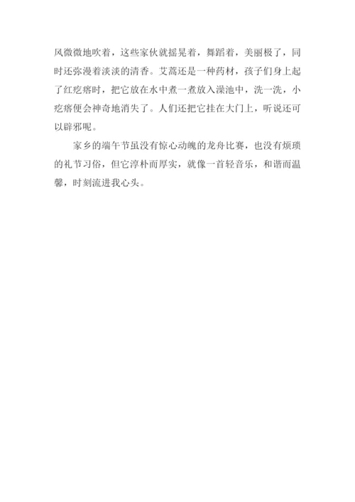 家乡的端午作文.docx