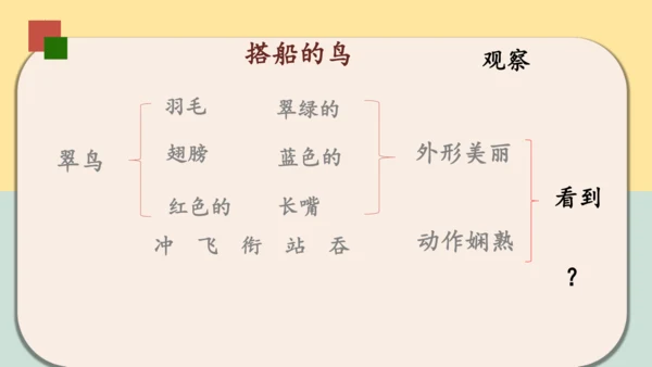 第15课《搭船的鸟》课件