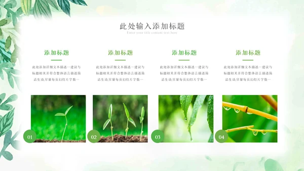 植物生长绿芽小树苗生长发芽成长ppt模板