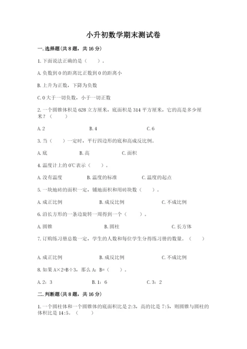 小升初数学期末测试卷精品（夺冠）.docx